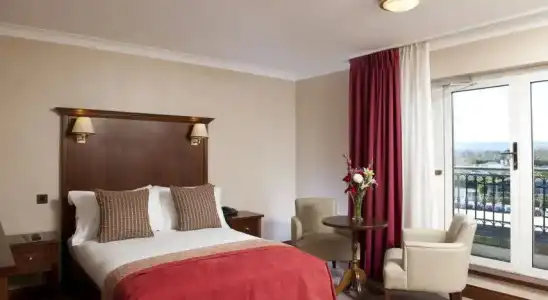 Clayton Ballsbridge - 32