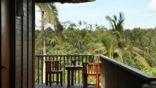 Alila Ubud - 22