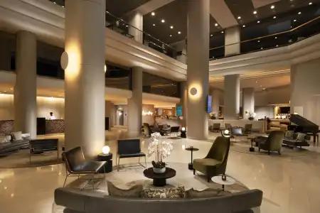 Hilton Darwin - 31