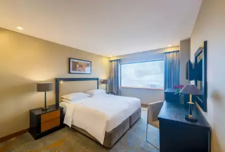 Hyatt Regency Dubai - 50