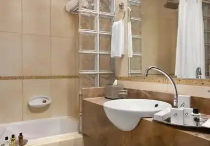 Mughal Suites - 36