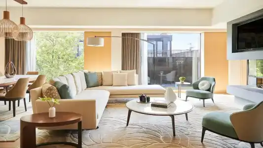 Park Hyatt Zurich - 100