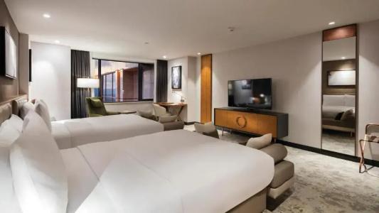 Hilton Maslak - 54
