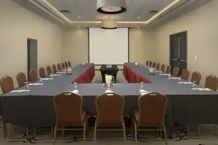 Crowne Plaza San Antonio Airport by IHG - 19