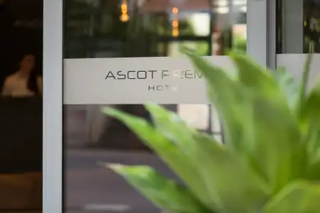 Ascot Premium - 6