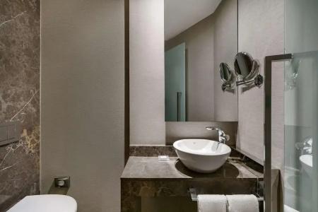 Radisson Blu Spa Istanbul Tuzla - 40
