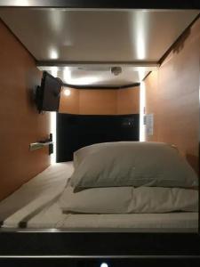 Sejour Inn Capsule - 29