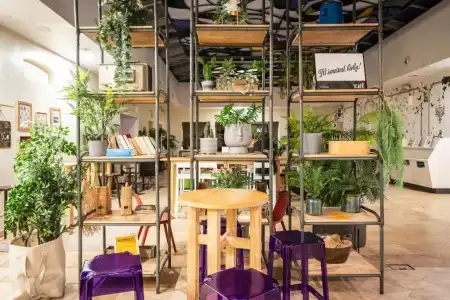 Wombat's City Hostel Budapest - 11