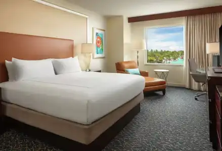 Hilton Orlando - 31