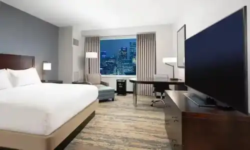 Hilton Americas - - 55
