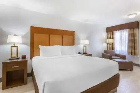 Best Western Plus El Paso Airport & Conference Center - 5