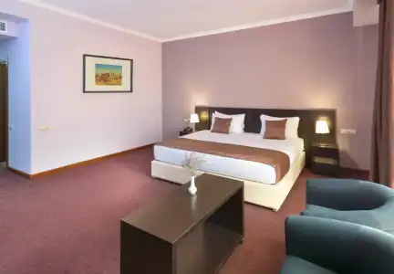 Ani Central Inn - 69