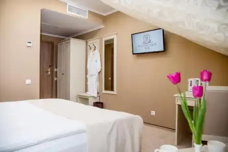 Pletnevskiy Inn - 30