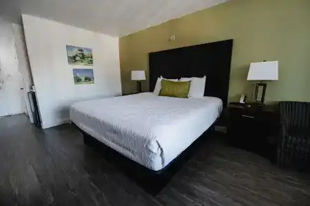 Old Town Western Inn & Suites - 11