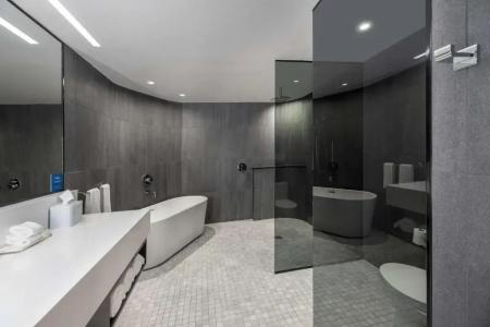 The Statler Dallas Curio Collection By Hilton - 61