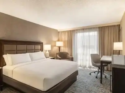 Hilton Tampa Downtown - 87