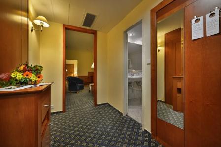 Ramada by Wyndham Prague City Centre - 38