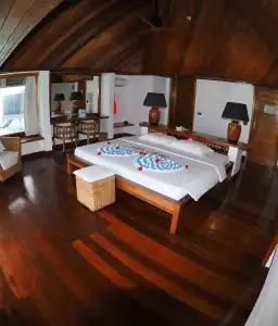 Gangehi Island Resort - 38