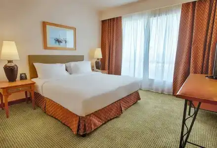 Hilton Alexandria Green Plaza - 62