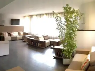Palme - 3