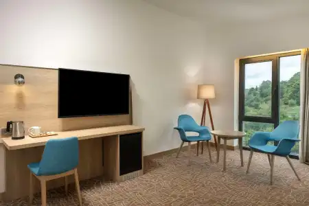 Park Inn by Radisson Istanbul Airport, Odayeri - 33