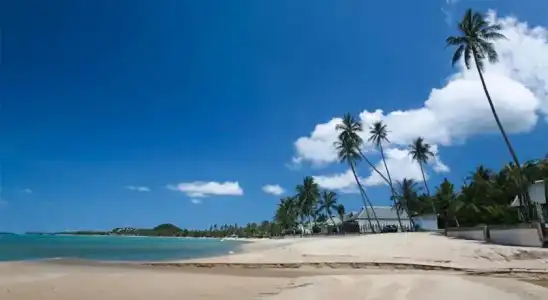 Hutcha Resort Samui - 13