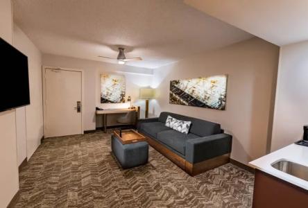 SpringHill Suites Houston Medical Center/NRG Park - 35