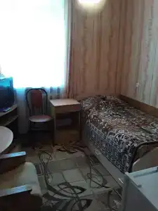 Gostinitsa Birsk - 133