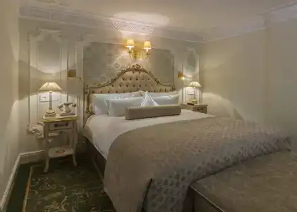 The State Hermitage Museum Official - 64