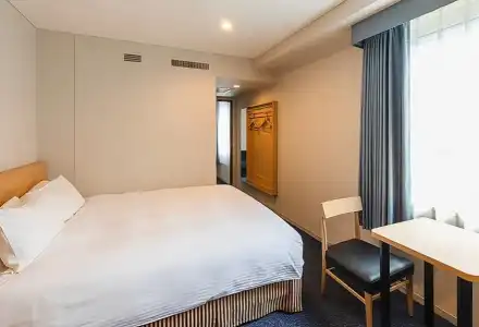 Sotetsu Fresa Inn Tokyo-Akasaka - 44