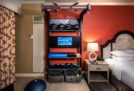 Hilton Anatole - 79