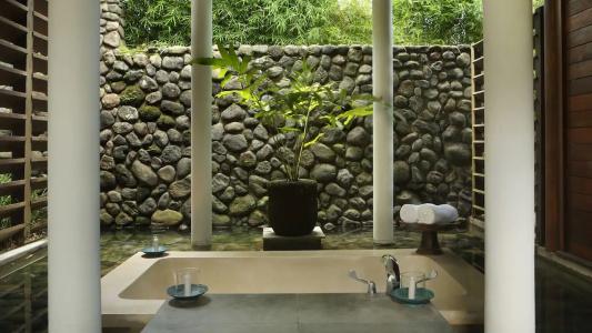 Alila Ubud - 23