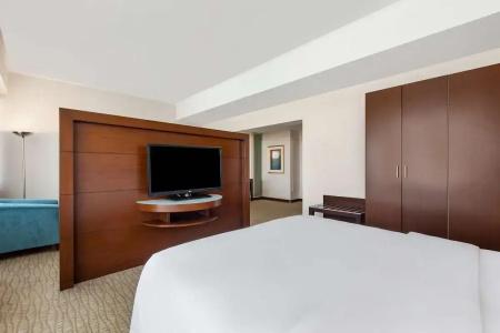 Radisson Blu, Ankara - 49