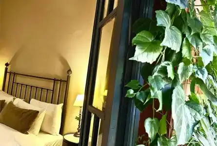 Be Jardin Escondido by Coppola - 80