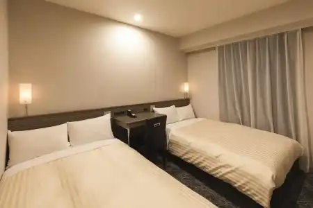 Sotetsu Fresa Inn Shimbashi Hibiyaguchi - 9