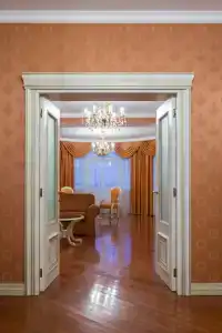 Cosmos Petrozavodsk - 73