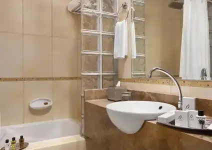 Mughal Suites - 27
