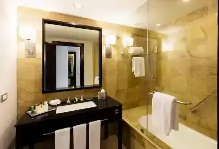 Hilton Mexico City Reforma - 56