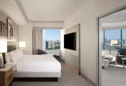 Hilton Anatole - 100
