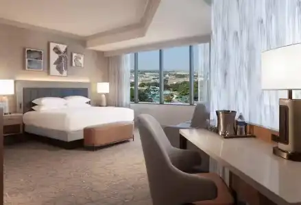 Hilton Anatole - 87