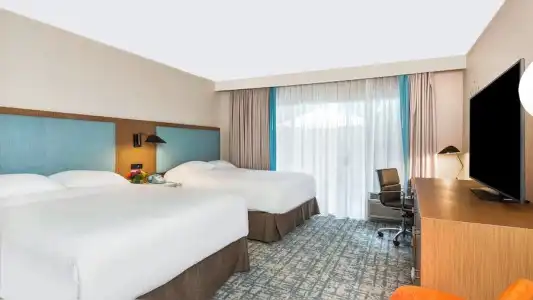 The Anaheim - 45