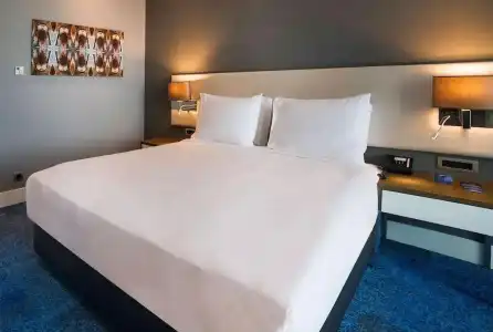 Radisson Blu, Kayseri - 48