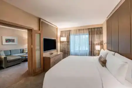 Renaissance Polat Istanbul - 101