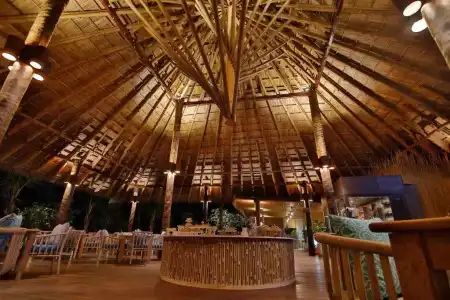 Phi Phi CoCo Beach Resort - 8