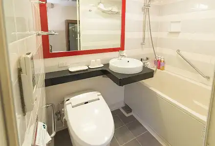 Sotetsu Fresa Inn Tokyo-Akasaka - 38