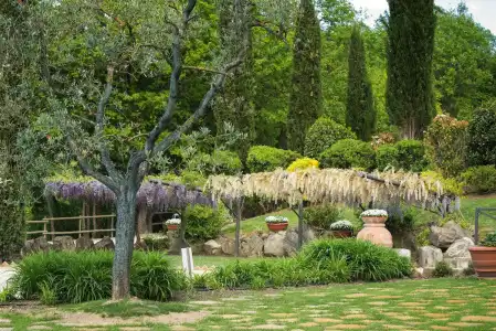 Osteria Dell Orcia - 22