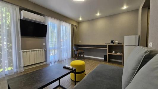 Бристоль - 39