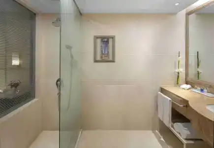 Radisson Blu Shanghai New World - 95