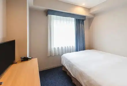 Sotetsu Fresa Inn Tokyo-Akasaka - 33