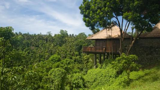 Alila Ubud - 24